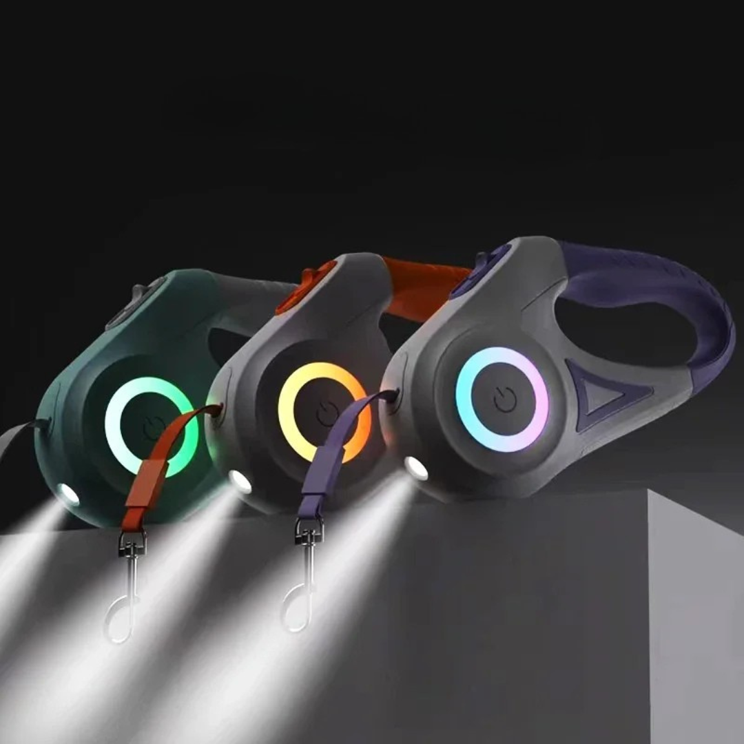Dog Leash Pro - Hundeleine mit LED-Licht für sicheres Gassigehen bei Tag & Nacht