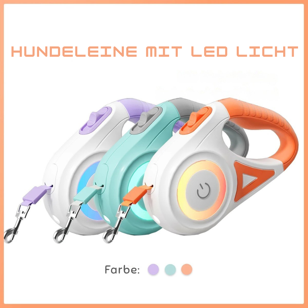 Dog Leash Pro - Hundeleine mit LED-Licht für sicheres Gassigehen bei Tag & Nacht