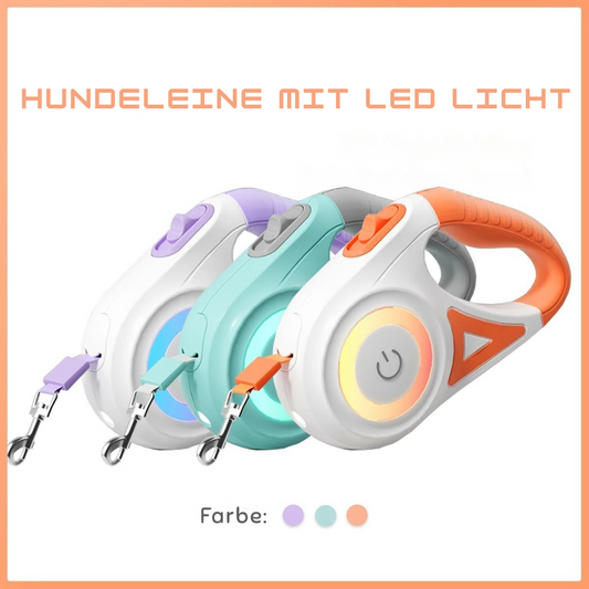 Dog Leash Pro - Hundeleine mit LED-Licht für sicheres Gassigehen bei Tag & Nacht