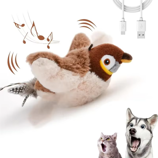Interaktives Spielzeug mit Katzenminze für Katzen & Hunde